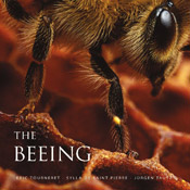 THE BEEING - Life Inside a Honeybee Colony (Amazon Link)