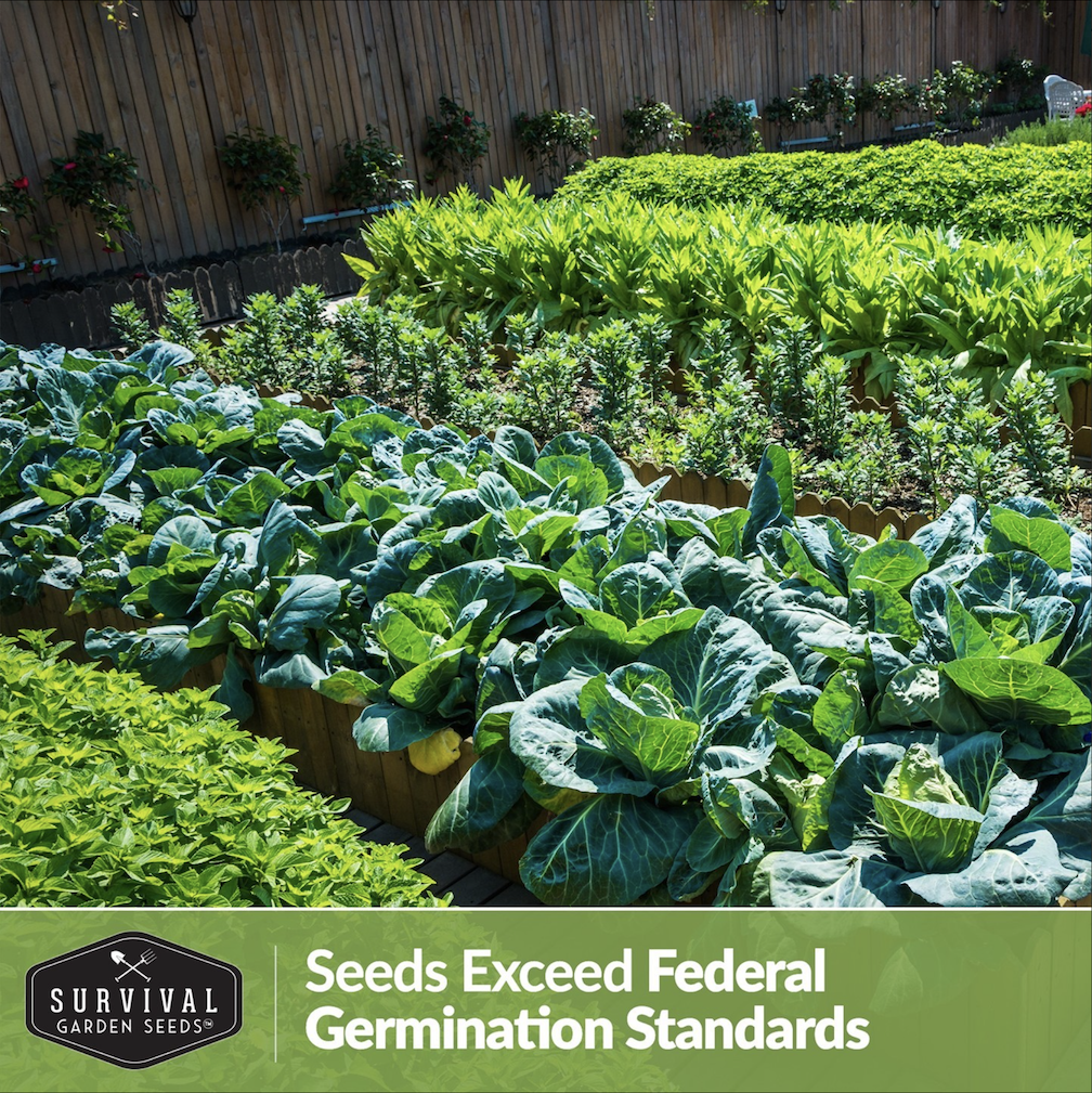 Survival Garden Seeds - Image 3