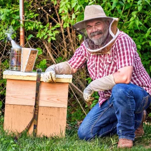 Natural Beekeeping 1-Day Seminar