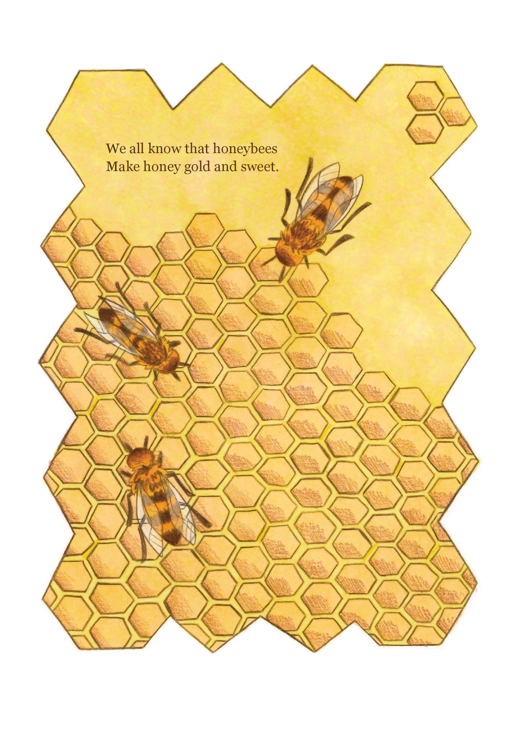 Don't Fear the Bees - Signed Copy - Image 4